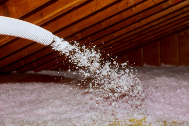 Best Best Insulation Companies  in Blossom, TX