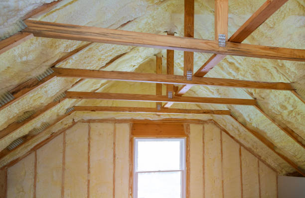 Best Professional Insulation Contractor  in Blossom, TX