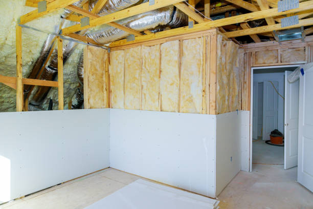 Best Insulation Removal  in Blossom, TX
