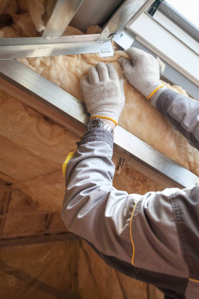 Best Insulation for Commercial Buildings  in Blossom, TX