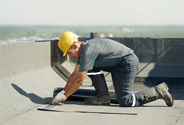 Best Wall Insulation Contractor  in Blossom, TX