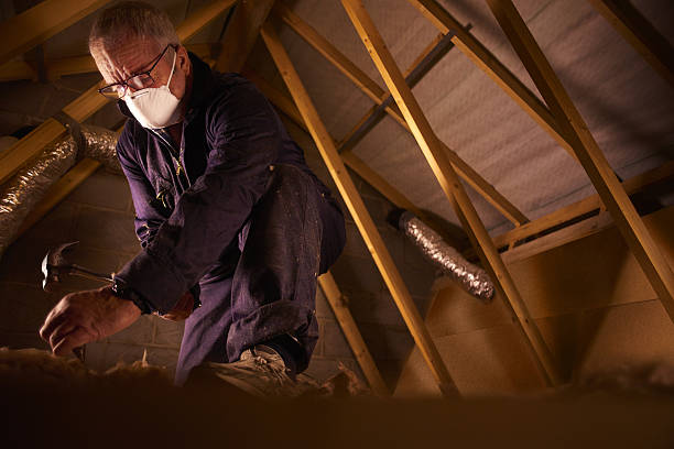 Best Home Insulation Services  in Blossom, TX