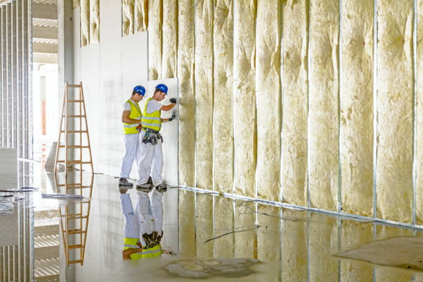 Best Crawl Space Insulation  in Blossom, TX
